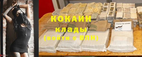 a pvp Няндома